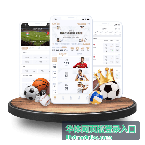 华体网页版登录入口运动知识内容配图